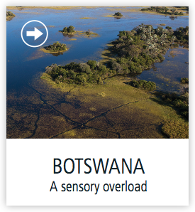 botswana-safaris