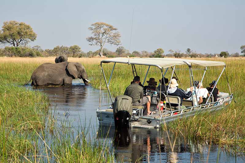 Okavango Still Boat 2