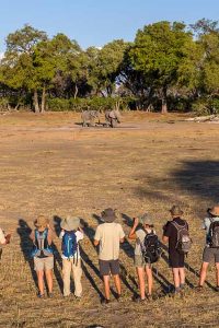 hero_Walking in the Okavango Delta 6